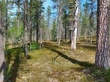 Sodankylä Kakslauttanen