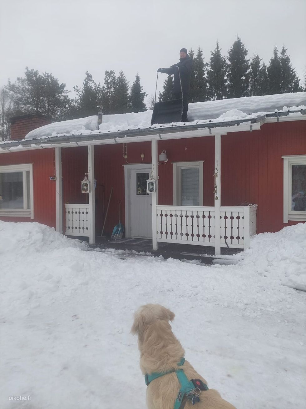 Kohdekuva