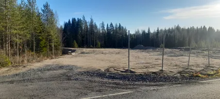 Tontti, 3,00 ha, YläVieksi