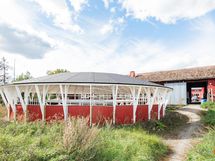 Hevosten kävelytyskone