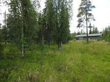 Sodankylä, Luosto