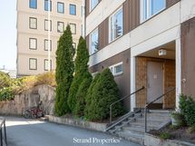 Sisäänkäynti