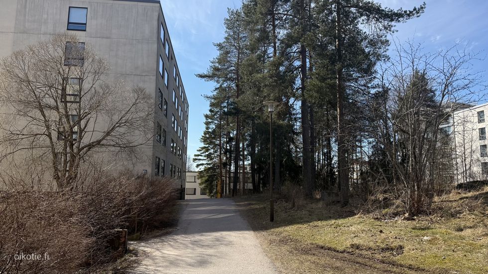 Kohdekuva