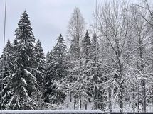 Näkymä parvekkeelta