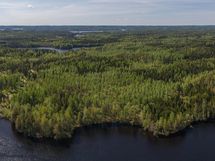 Heinävesi, Karvio, Virranniemi