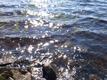 Kuhmo, Iso-Rommakkojärvi, Lautakankaantie