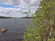 Saarijärvi, Kiesimenjärvi
