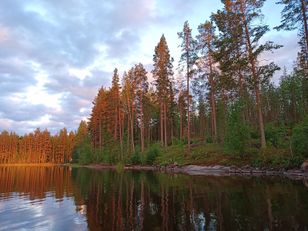 Kohdekuva