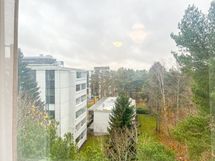 Näkymä kodin ikkunoista on etelään.