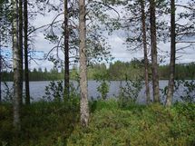 Sonkajärvi, Raudanvesi