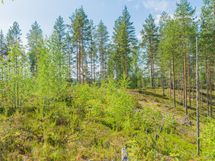 Savonlinna, Kiviapaja, Siikavesi