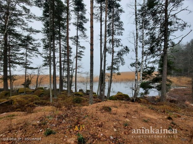 Asuntoilmoituksen kuva