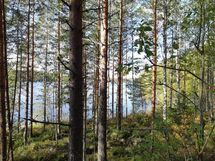 Leppävirta, Kuvansi, Herralanlahti