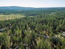 Pudasjärvi, Syöte, Pytkynharju