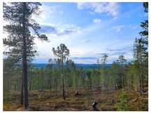 Korkeavaaran suunnasta