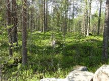 Kemijärvi, Soppela, Ketovaara