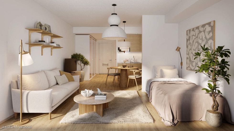 Visualisointi kodista (1h+kt, 30,5 m²)