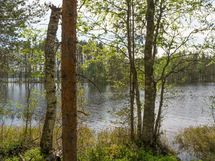 Heinävesi Pilppa Karjalansaari 