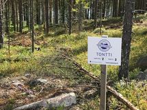 Suomussalmi, Kaunisniemi-Merkkivirta