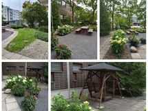 Omistajan ottamia kesäkuvia yhtiön pihasta.