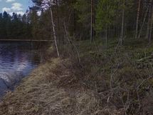 7-1 Saunalahti rantaa