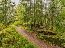 Talvella hiihtoladut kulkevat talon vierestä