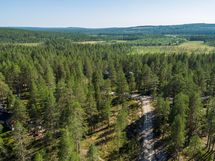 Pudasjärvi, Syöte, Pytkynharju