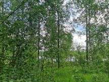 Pikku-Heikkilä kuvio 2