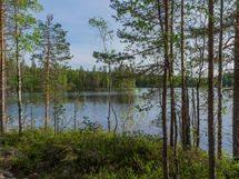 Varkaus, Miehalanjärvi, Sopalanniemenpolku