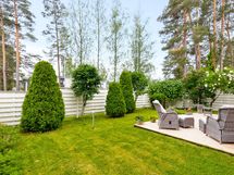 Kesäkuva pihalta