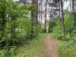 Kohdekuva