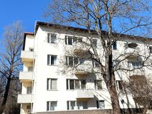 Huoneiston ulkopuolella kasvaa iso vaahtera, kaunis ympäri vuoden