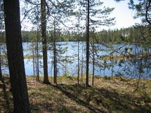 Suomussalmi, Kaunisniemi-Merkkivirta