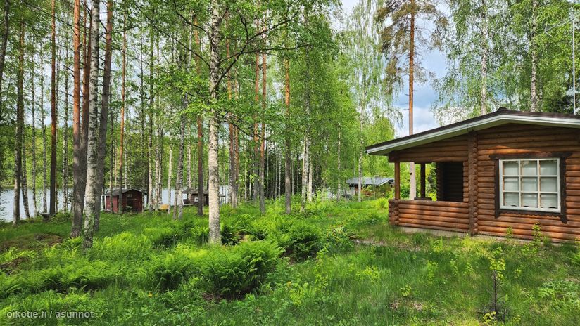 Asuntoilmoituksen kuva