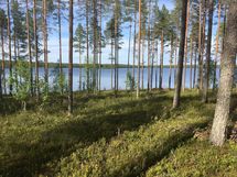 Suomussalmi, Kiantajärvi, Haukiperä