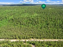 Metsäpalstan sijainti suuntaa antavasti Angelintien toisella puolella