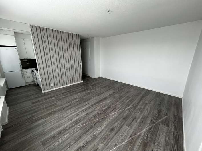 Kerrostalo, 1h+kk+ph, 32 m², 2 kaupunginosa, Äänekoski