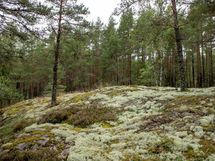 Salo, Särkisalo, Karhumäki