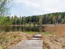 laituri rannassa