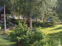 Myyjän kesäkuvia