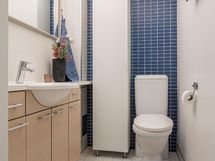 Erillinen wc
