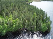 Saarijärvi, Kiesimenjärvi
