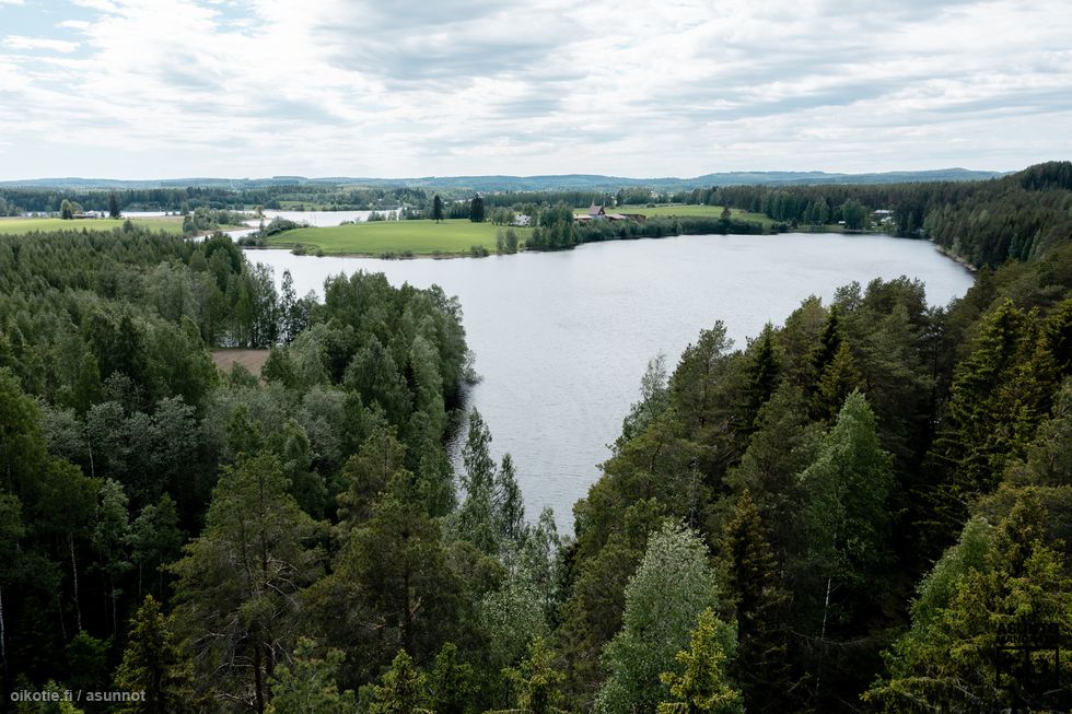 49 m² Joensuuntie 2507, 71160 Kuopio Mökki tai huvila Kaksio myynnissä -  Oikotie 17261878