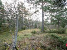 Näkymä rakennuspaikalta