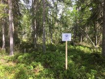 Suomussalmi, Kiantajärven eteläosa