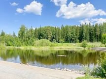 Vuoreksen keskuspuistoa kesällä.
