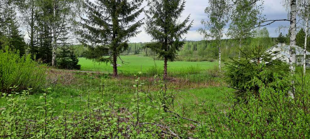 Tontti, 8 400 m², Metsolahti