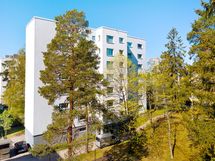 Vehreä ympäristö on viihtyisä. Päätyasunnon ikkunat ovat mäntyjen kohdalla.