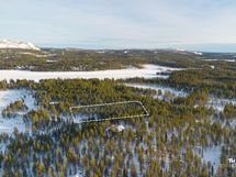 Tontti suuntaa antavasti merkitty kuvaan