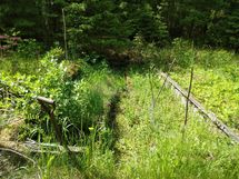 Kasvihuoneen pohja